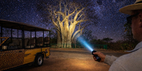 ½-Day Private 4x4 Moonlight Stargazing Bush Experience