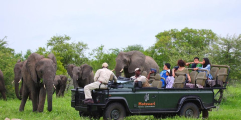 3-Day Kruger - Motswari Game Reserve