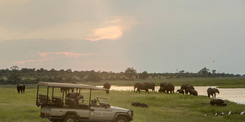 4-Day Muchenje Safari Lodge - Chobe National Park