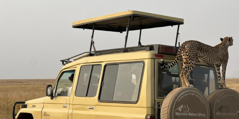 8-Day Tanzania Authentic Safari