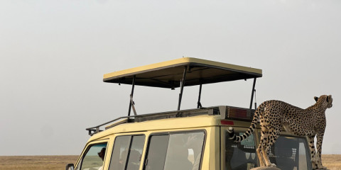 3-Day Fly-in Fly-out Ngorongoro & Tarangire -Zanzibar