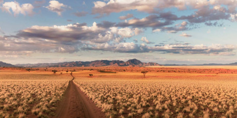 game safari namibia