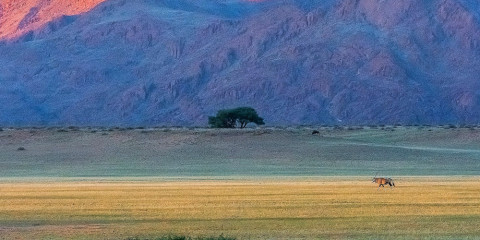 10-Day Namibia Safari