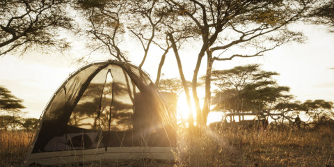 8-Day Walking Safari & Fly Camping in the Serengeti