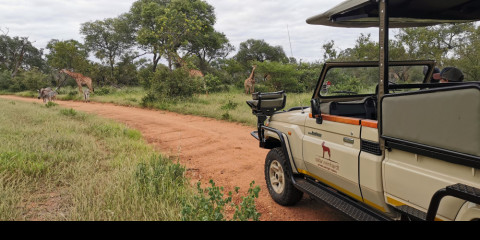 best safari tours in south africa