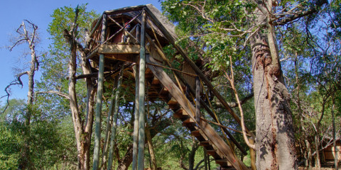 3-Day Tremisana/Treehouse Kruger Park Safari