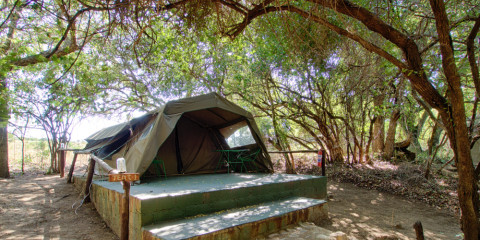 4-Day Tremisana/Tent Kruger Park Safari