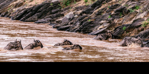 7-Day Tanzania Midrange Cultural & Wildlife Safari