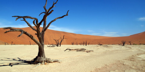 8-Day Namibia Highlights Self-Drive Tour
