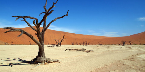 8-Day Northern Namibia Express Self-Drive Tour