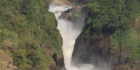 3-Day Falls & Game Safari to Murchison Falls NP
