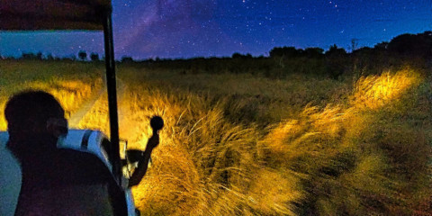 ½-Day Starlight Safari in 4x4 Around Victoria Falls