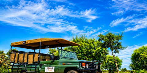 1-Day Rhino & Lion Safari from Johanensburg