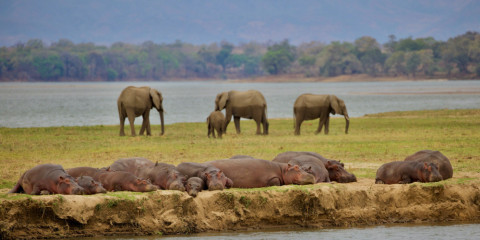 12-Day Wildlife and Conservation Experience in Zimbabwe