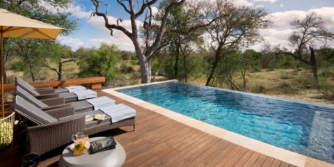 4-Day Luxury Rockfig Safari Lodge Tour