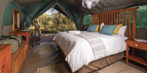 4-Day Boteti Tented Safari Lodge