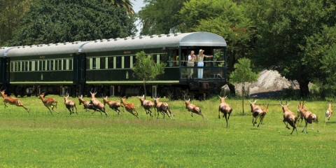 11-Day Luxury Rail Journey and Safari