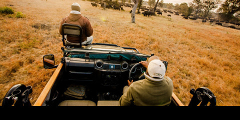 5-Day Greater Kruger Safari Experience