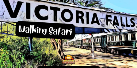 ½-Day Guided Walking Tour of Victoria Falls Town