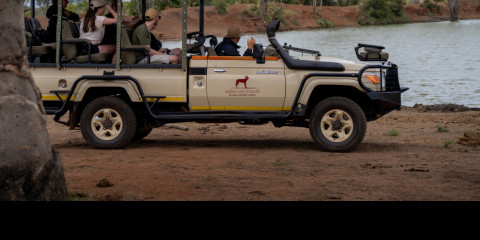 6-Day Kruger and Private Game Reserve Safari