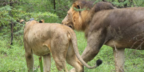 tanzanie voyage zanzibar