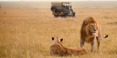 4-Day Affordable Masai Mara All Inclusive Safari