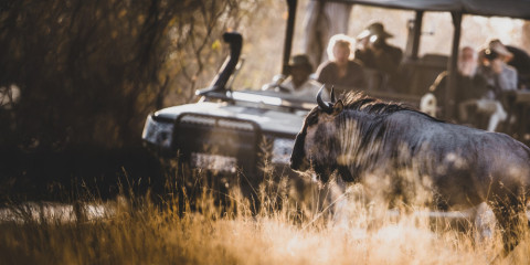 5-Day Sabi Sands and Kruger Safari