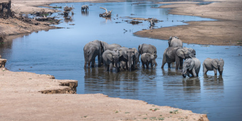 4-Day Affordable South Luangwa Safari