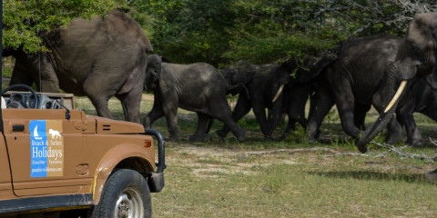 3-Day Private Safari Selous Mid Range