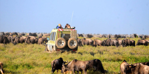 6-Day Tanzania Wildlife Camping Safari
