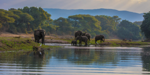 15-Day Off the Beaten Track Safari in Zambia