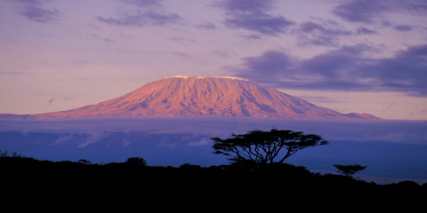 10-Day Mount Kilimanjaro Trek (Lemosho Route)