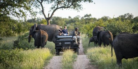 5-Day Walking Safari and Eco-Lux Kruger Escape