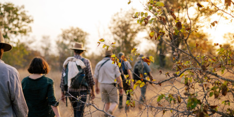 5-Day Walking Safari and Eco-Lux Kruger Escape