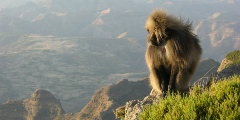 14-Day North and South Historic Adventure