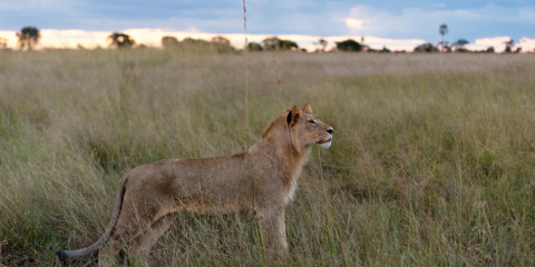 13-Day Discover Namibia's North - Wetlands & Big 5 Safari