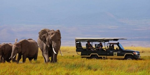 6-Day Samburu & Masai Mara Flying Safari