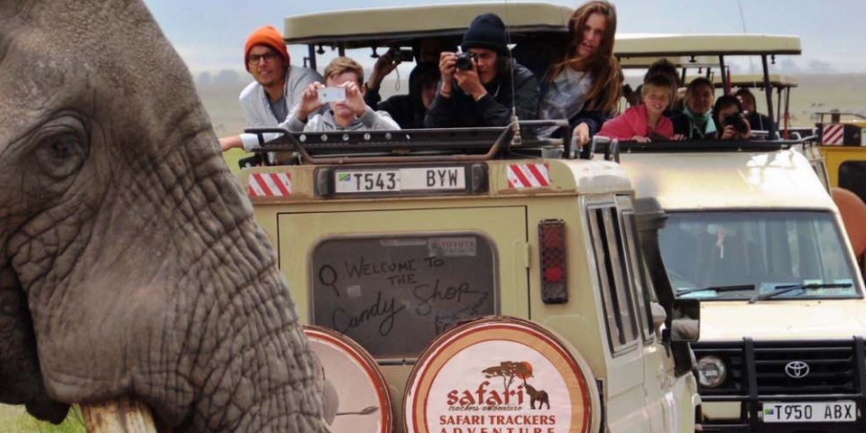 4-Day Serengeti and Ngorongoro Crater Camping Safari