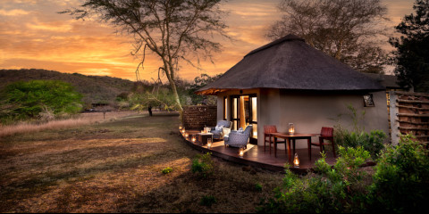 3-Day Luxury Phinda Zuka Lodge Safari
