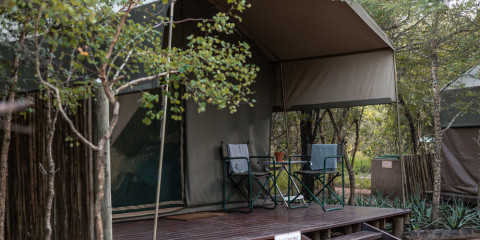 4-Day Sabi Sands Under the Canvas Lodge Safari