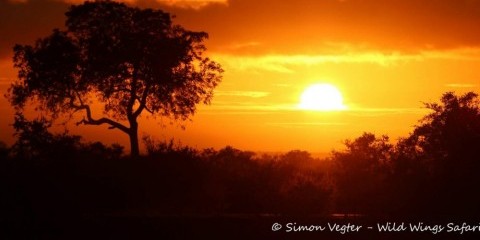 5-Day Best of Kruger Park Safari