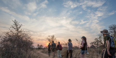 7-Day Kruger, Panorama Route and Private Game Reserve