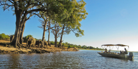 11-Day Botswana Baobabs and Okavango Delta
