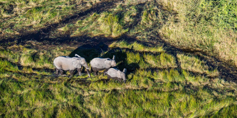11-Day Botswana Baobabs and Okavango Delta