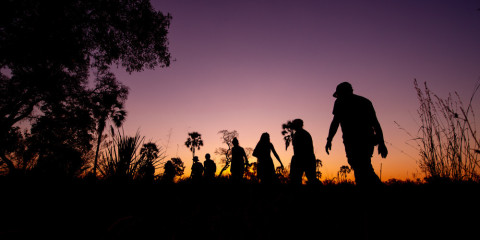 13-Day Botswana Wildside - Maun Departure