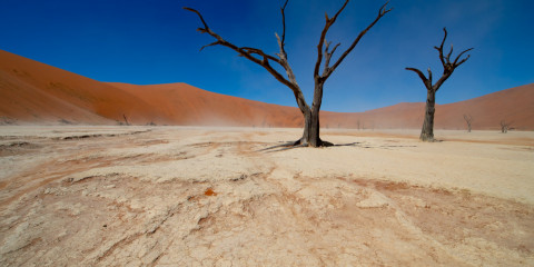 15-Day Namibia to Victoria Falls Elephant Track