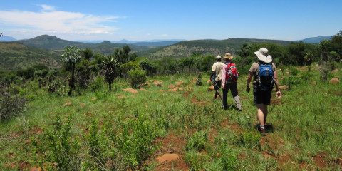 14-Day Walking South Africa