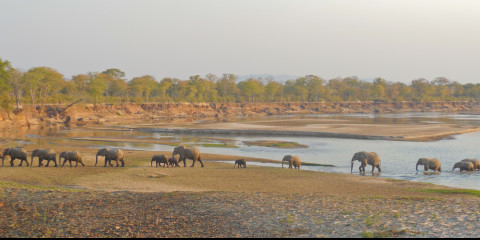 africa safari mozambique