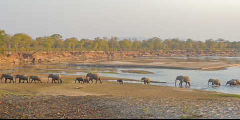 marine safari mozambique