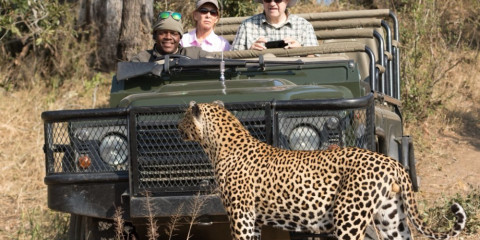 3-Day Mala Mala Private Game Reserve Immersive Safari